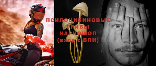 эйфоретик Алексин