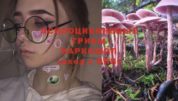 мдпв Наволоки