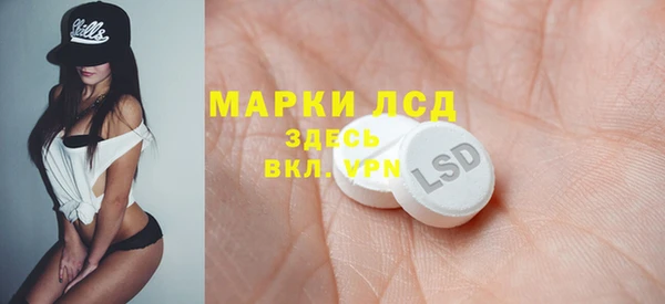 прущий лед Алзамай