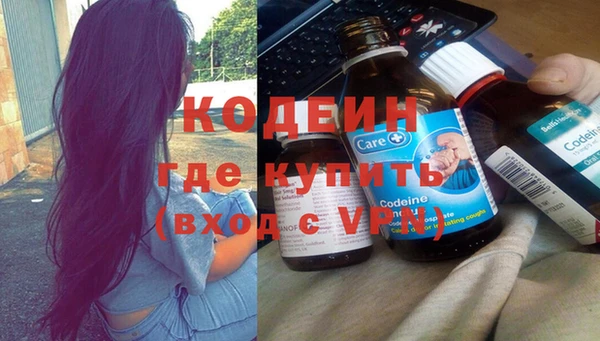 прущий лед Алзамай
