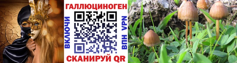 Псилоцибиновые грибы ЛСД  Миньяр 